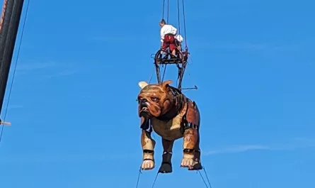 chiens geants royal de luxe